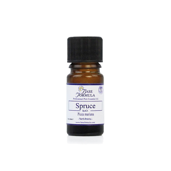 Black Spruce Essential Oil